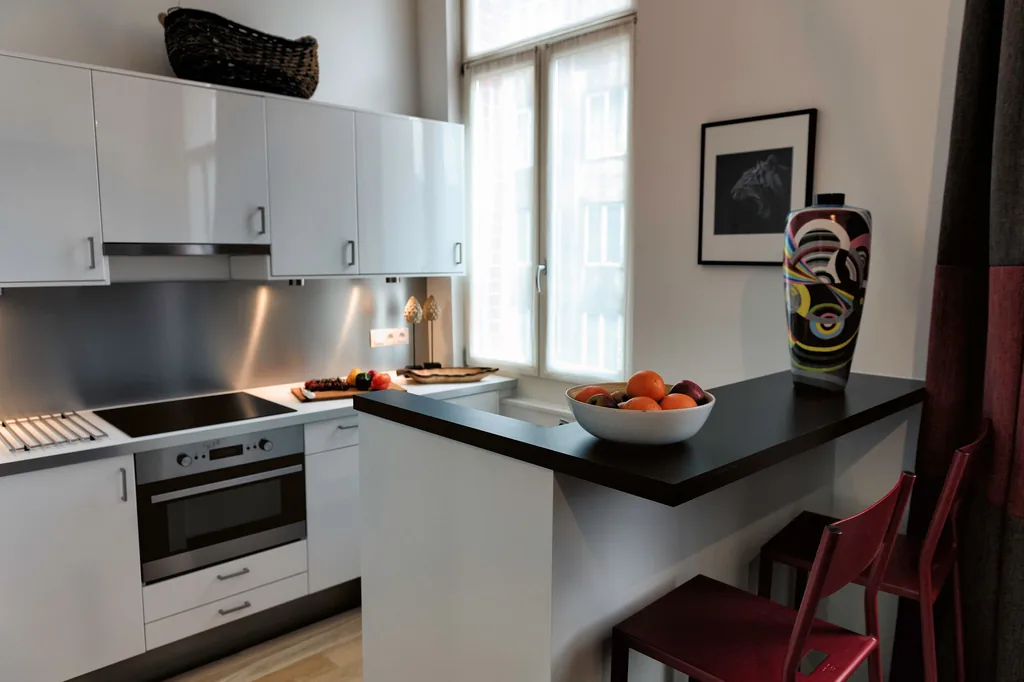 Equipped kitchen at Paul Lauters 4, furnished apartment in Brussels